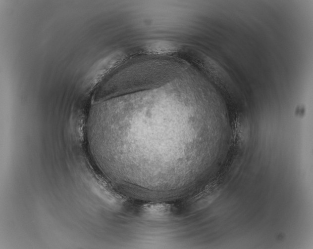 X0000115310452200911161725