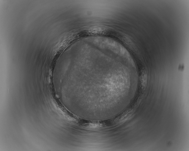 X0000115310458200911161725