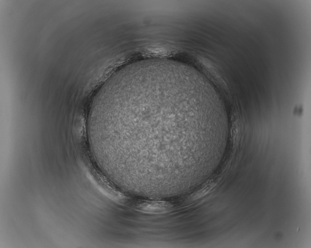 X0000115310459200911161725