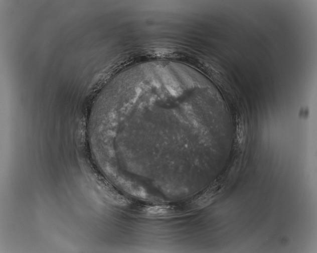 X0000115310461200911161725