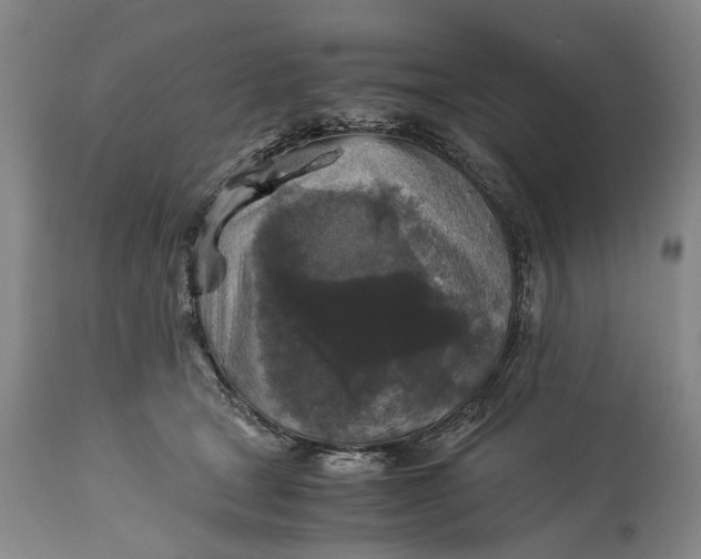 X0000115310465200911161725