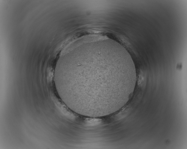 X0000115310476200911161725