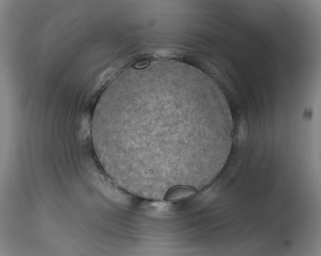 X0000115310478200911161726