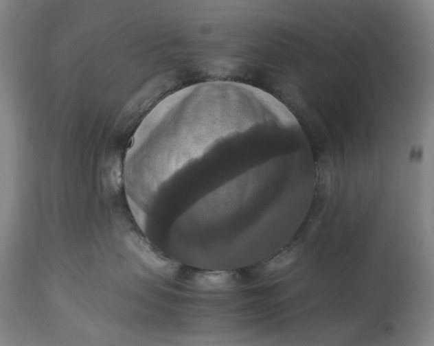 X0000115310479200911161726