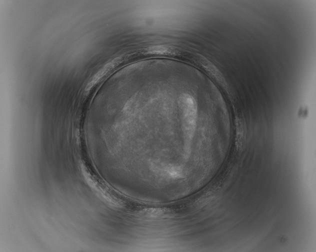 X0000115310482200911161725