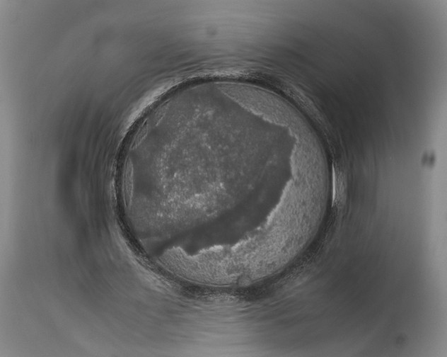 X0000115310483200911161725