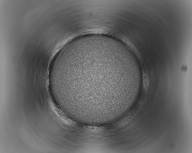 X0000115310486200911161725