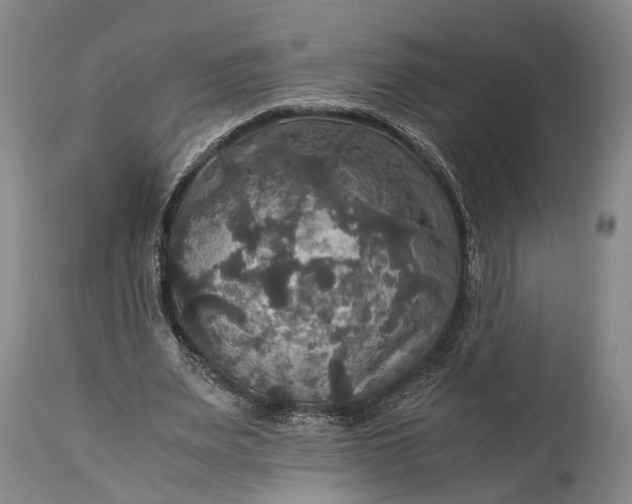 X0000115310487200911161725