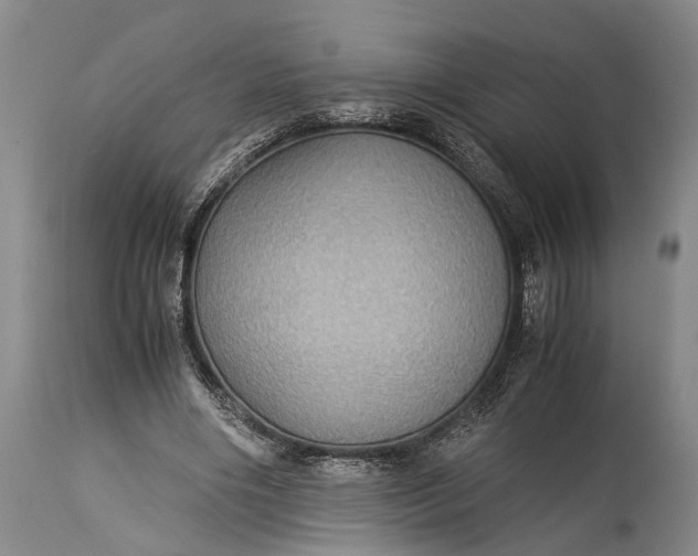 X0000115310490200911161725