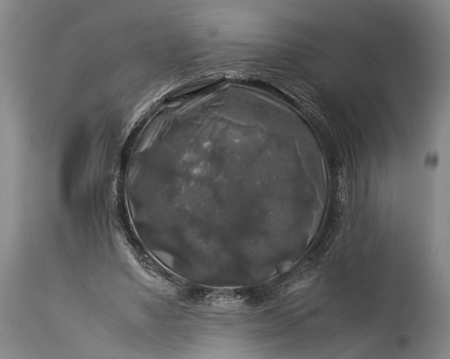 X0000115310491200911161725