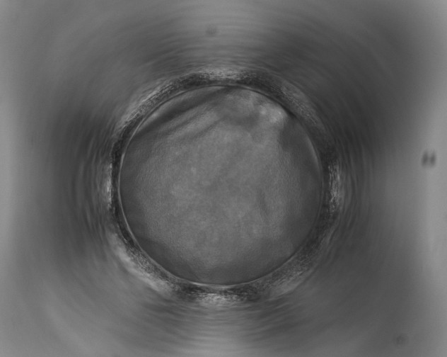 X0000115310494200911161725