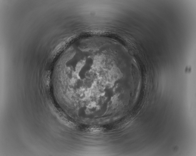 X0000115310495200911161725