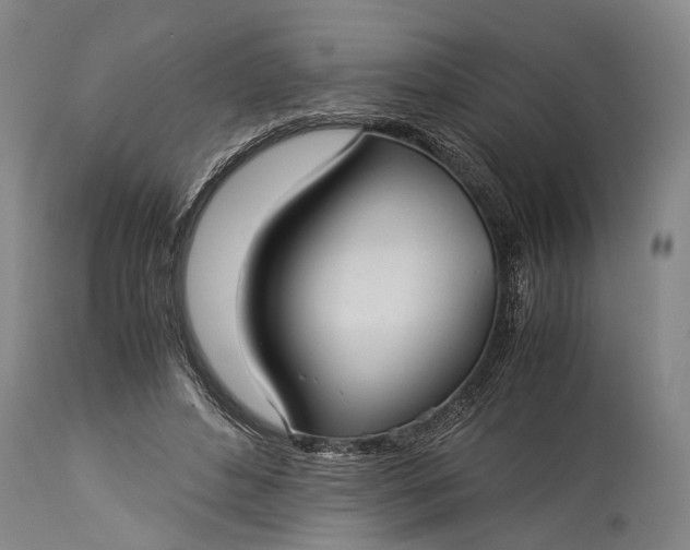 X0000115310496200911161724