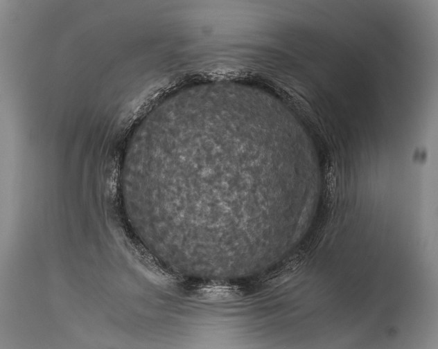 X0000115310499200911161724