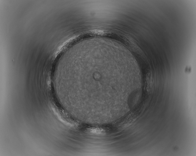 X0000115310500200911161724