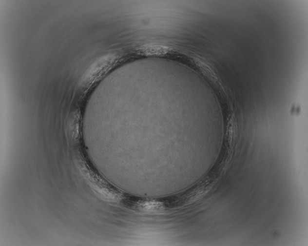 X0000115310501200911161724