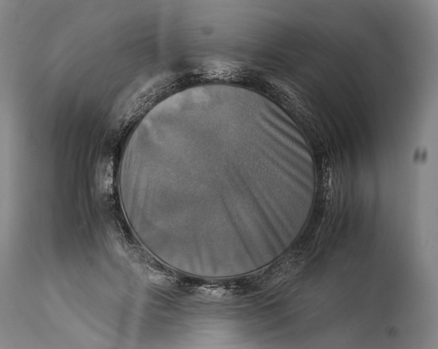 X0000115310502200911161724