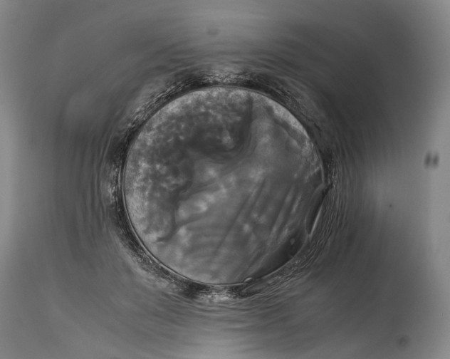 X0000115310503200911161724