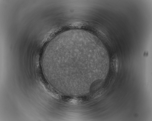 X0000115310504200911161724