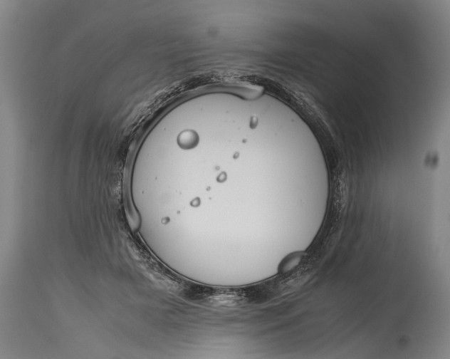 X0000115310505200911161724