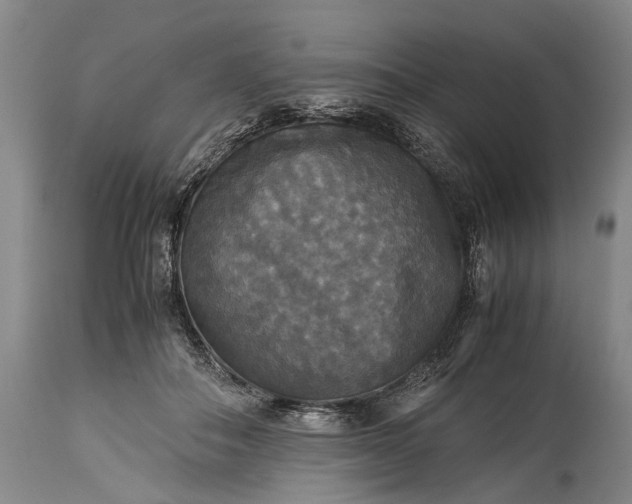 X0000115310506200911161724