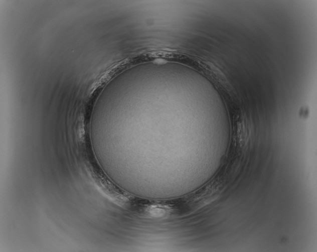 X0000115310508200911161724