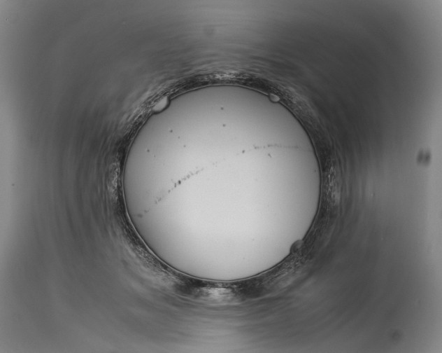 X0000115310509200911161724