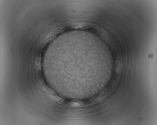 X0000115310510200911161724