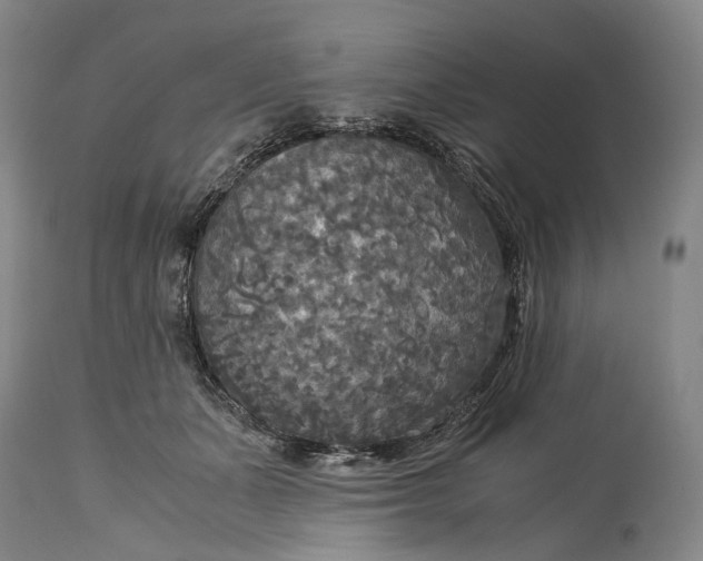 X0000115310511200911161724