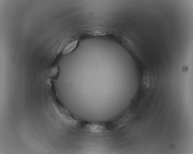 X0000115310512200911161724