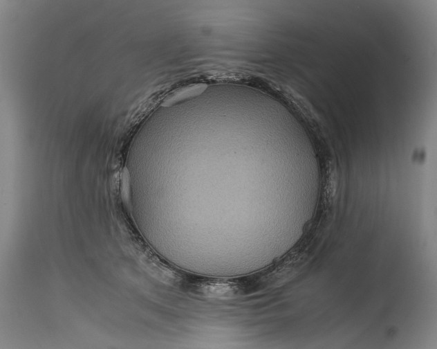 X0000115310513200911161724