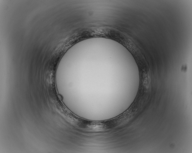 X0000115310514200911161724