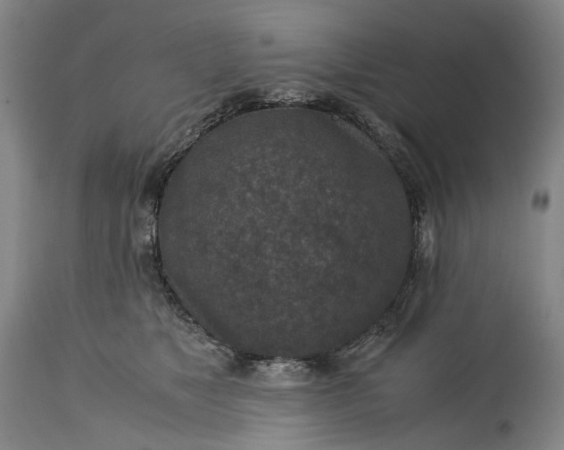 X0000115310517200911161724