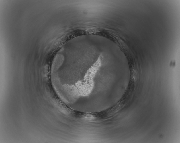 X0000115310519200911161724