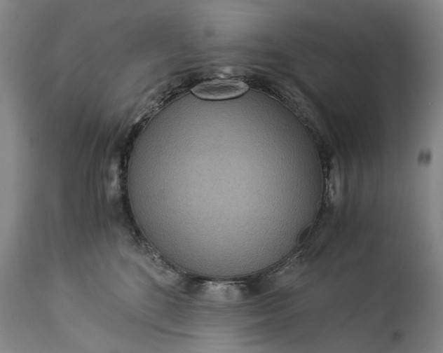 X0000115310520200911161724