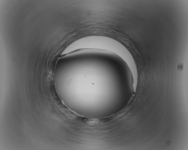 X0000115310521200911161724