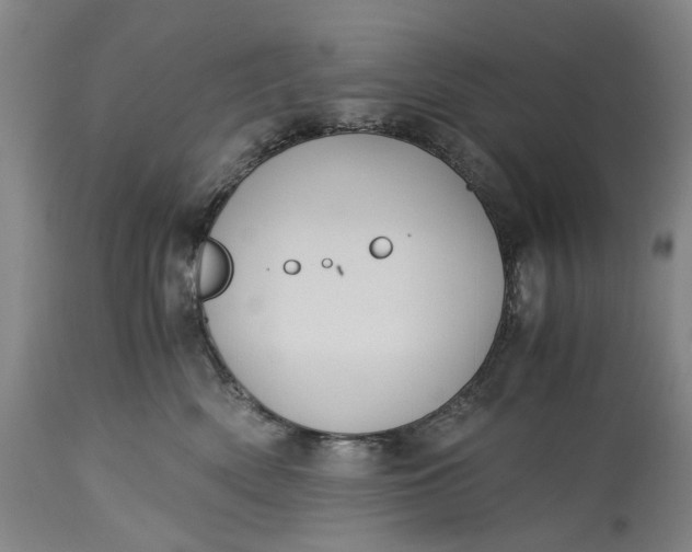 X0000115310522200911161724