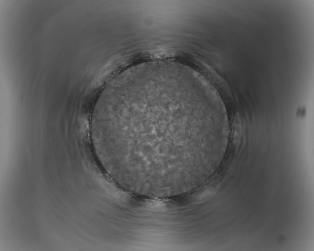 X0000115310523200911161724