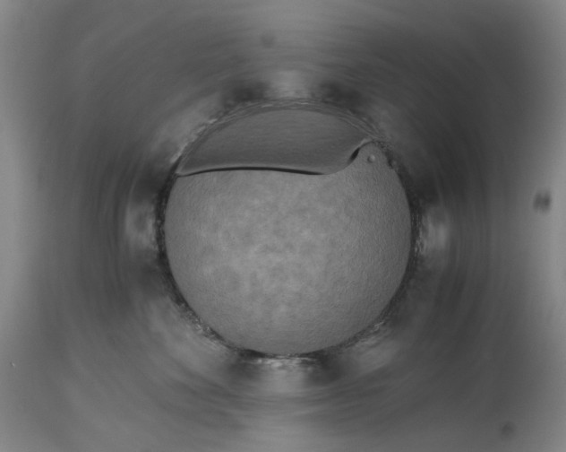 X0000115310524200911161724