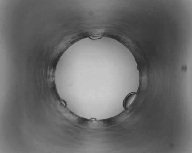 X0000115310525200911161724