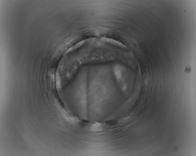 X0000115310527200911161724