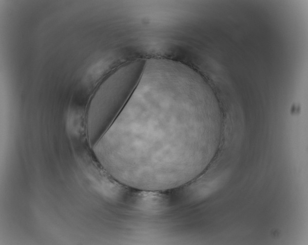 X0000115310528200911161724