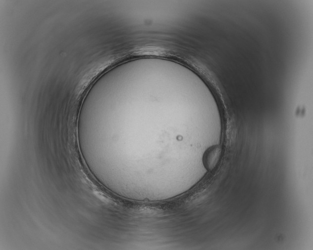 X0000115310529200911161723