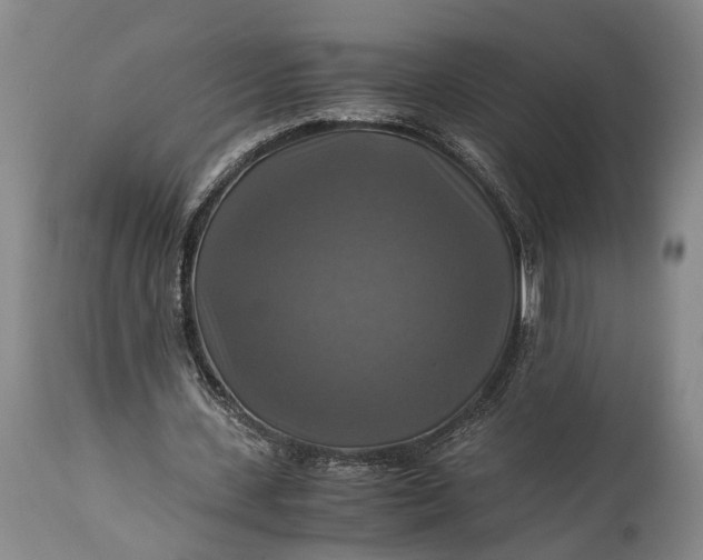 X0000115310531200911161723