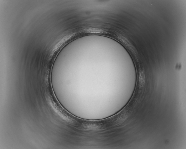 X0000115310533200911161723