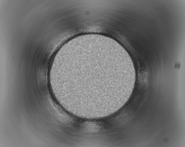 X0000115310534200911161723