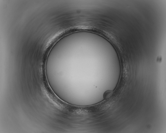 X0000115310535200911161723