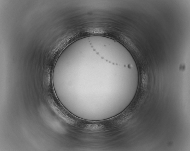 X0000115310541200911161723