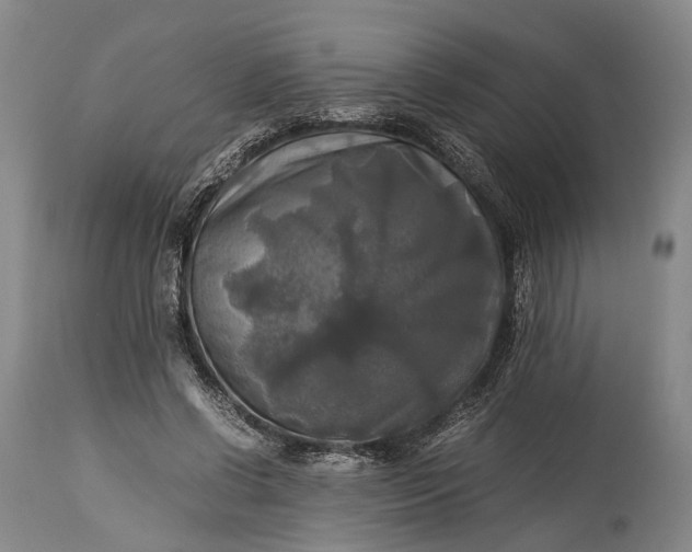 X0000115310542200911161723