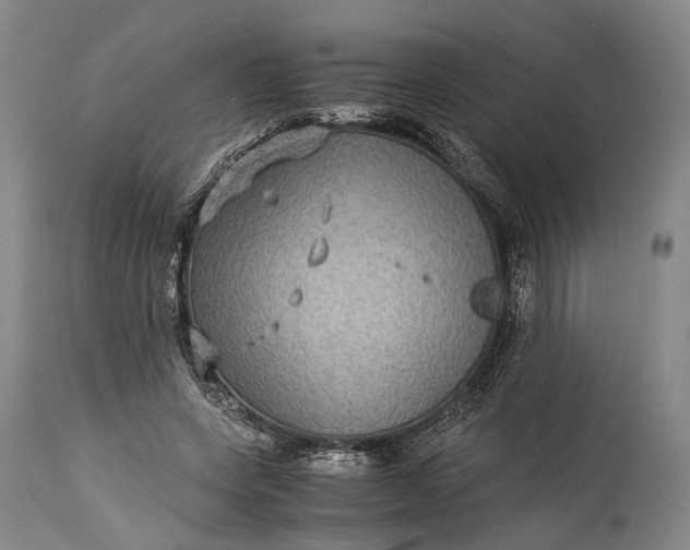 X0000115310543200911161723